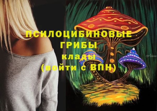 таблы Нея