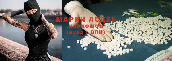 spice Новодвинск